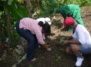 Labour Day Project 361
